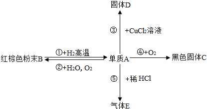 魔方格